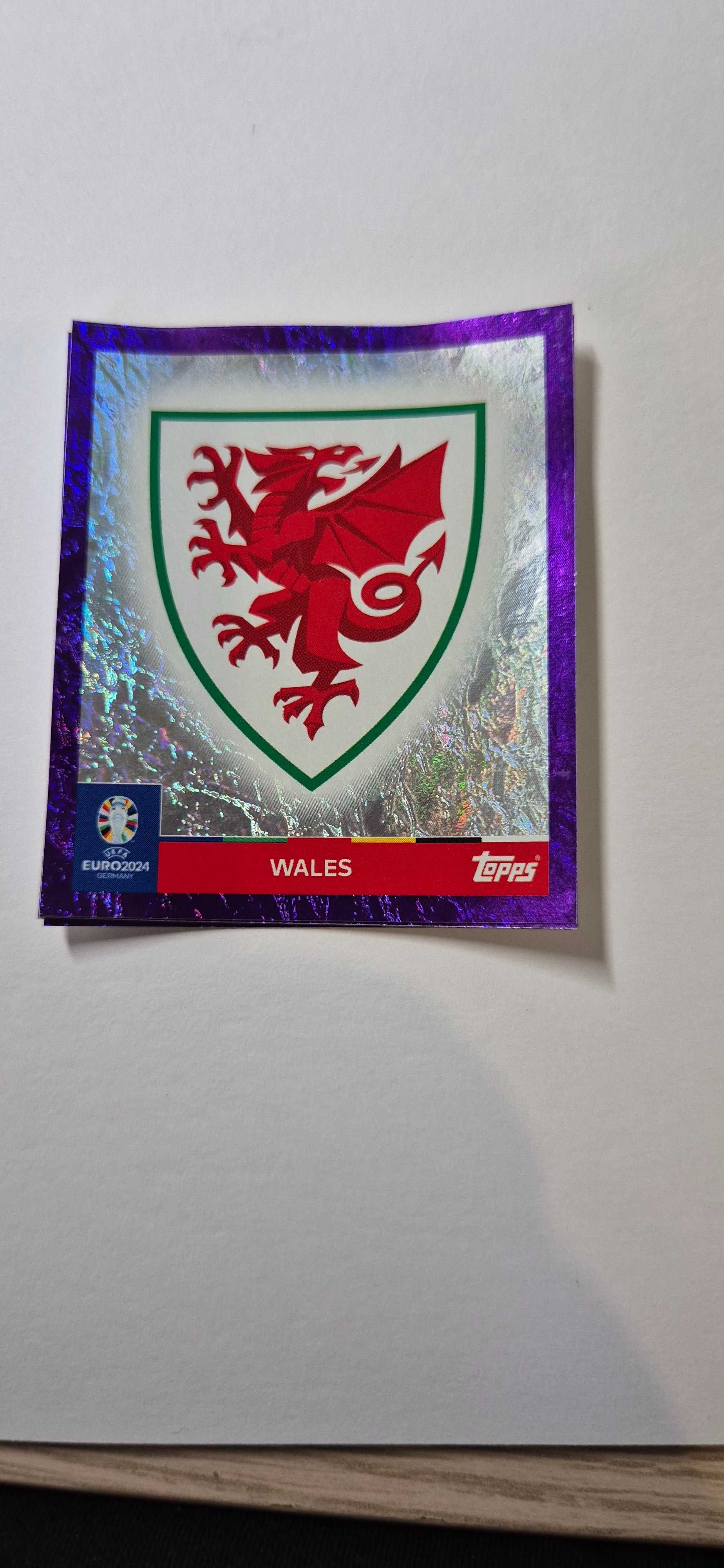Cromos roxos euro 2024