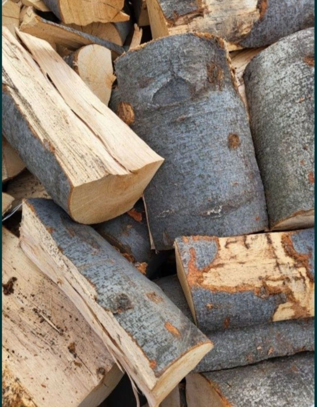 Sprzedam drewno kominkowe/opałowe suche suszone komorowo Buk/Brzoza