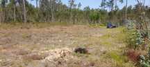 Terreno rustico a venda em Muinho de Gandara-Figueira da Foz.