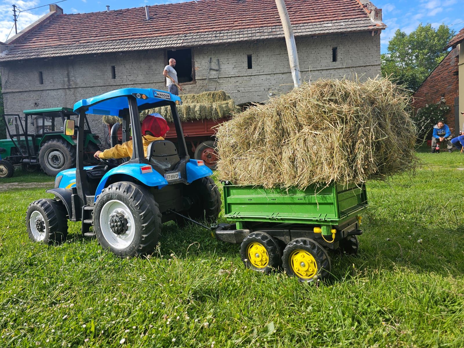 Siano mała kostka