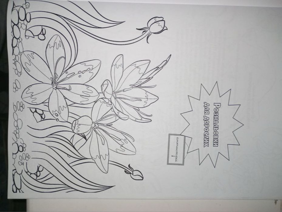 Розмальовки для дорослих