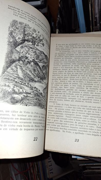 Vinho do Porto vinho da filosofia 1946