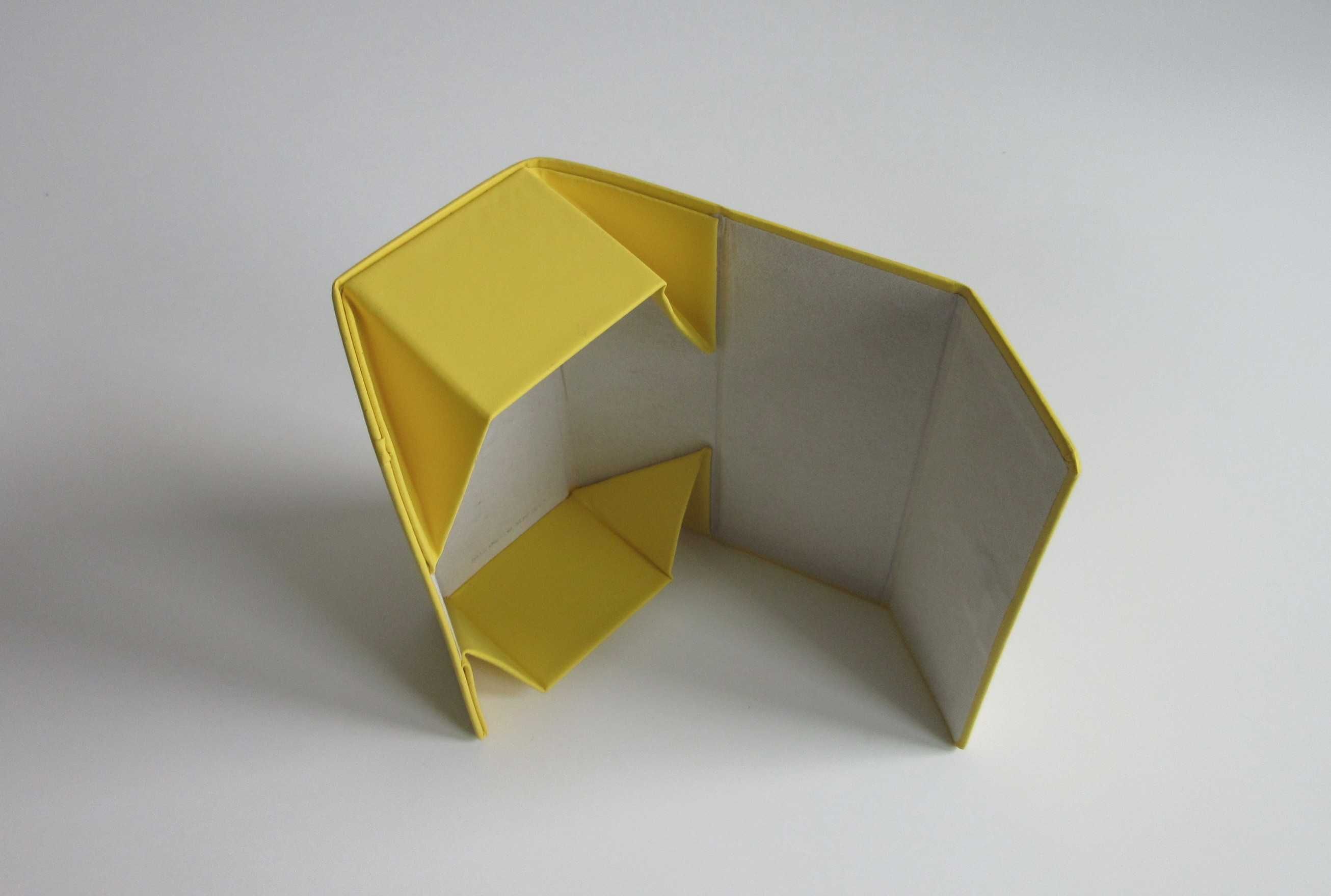 Etui  Polaroid .