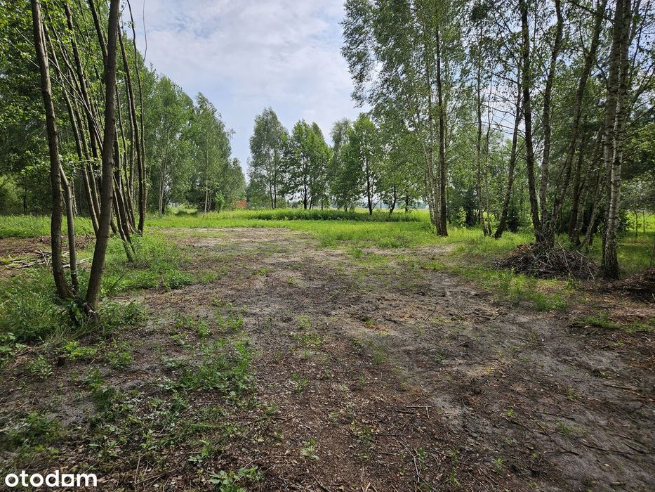 Gorzanka  2600 m²  Piękna działka w bardzo dobrej cenie