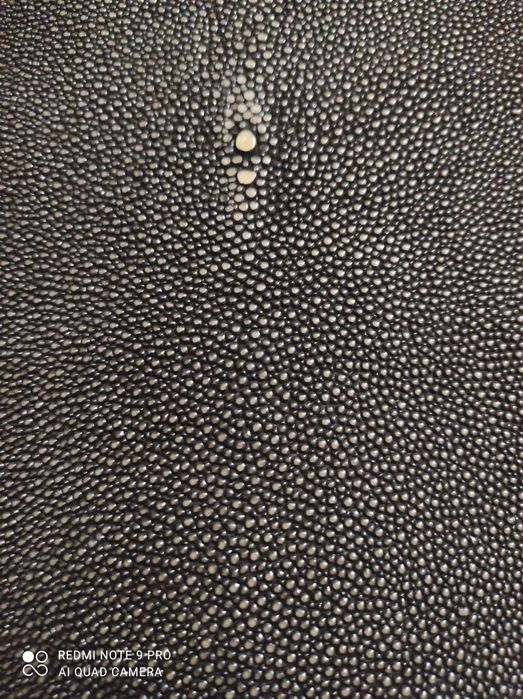 Кожа морского ската