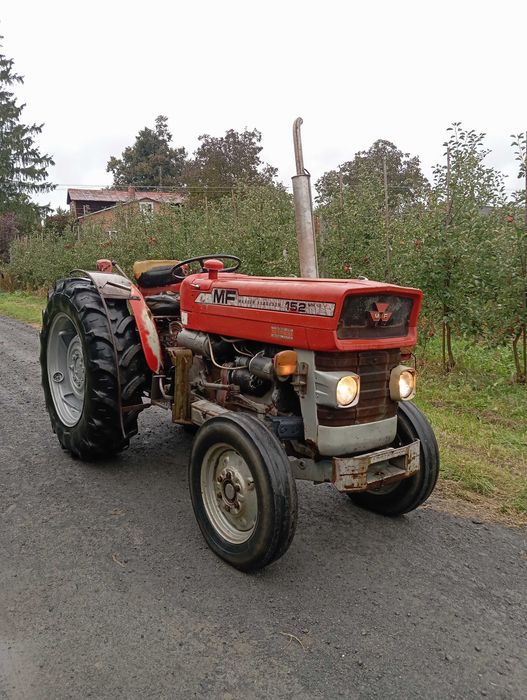 Massey Ferguson 152 mkIII  Sadowniczy
