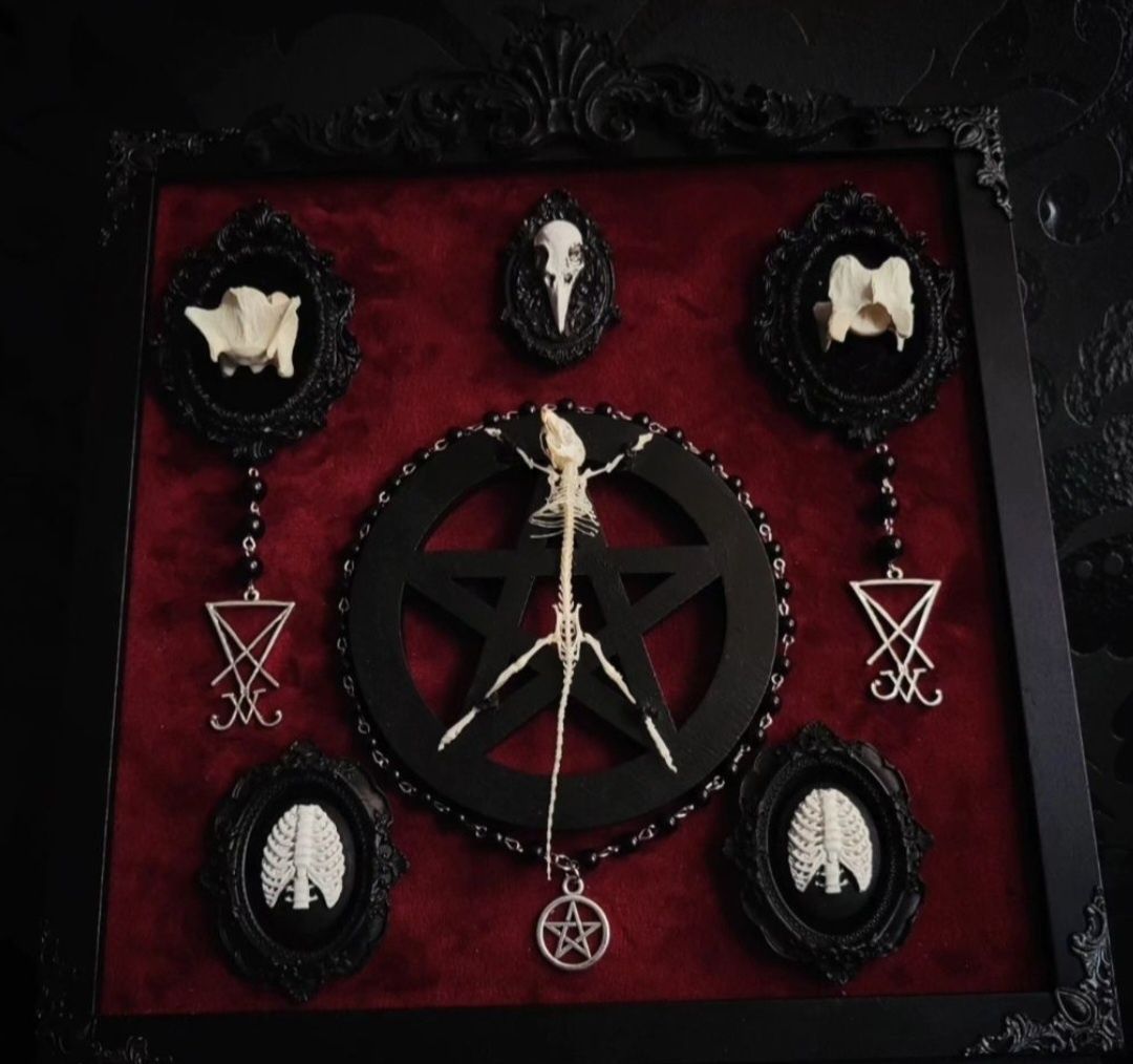 Taksydermia szkielet myszy pentagram