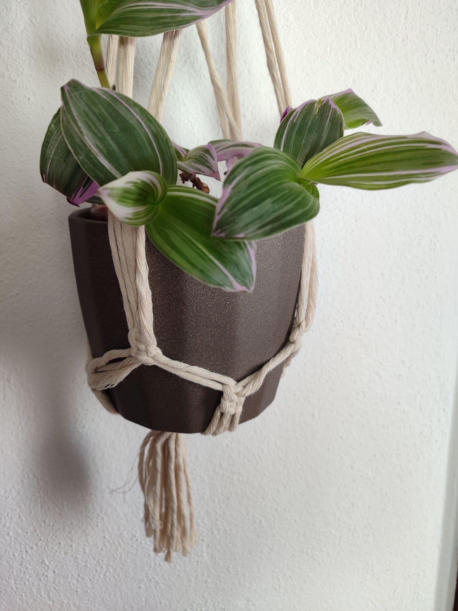 Suporte plantas macramé