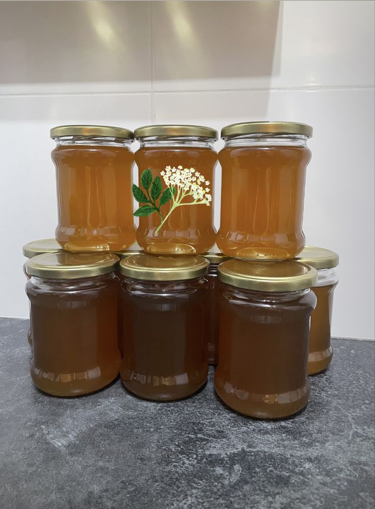 Domowy syrop z kwiatów czarnego bzu