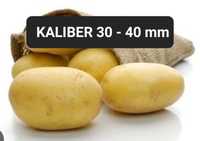 Ziemniaki LILLY kaliber od 3 do 4 od 30 do 40mm