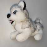 Pies husky maskotka