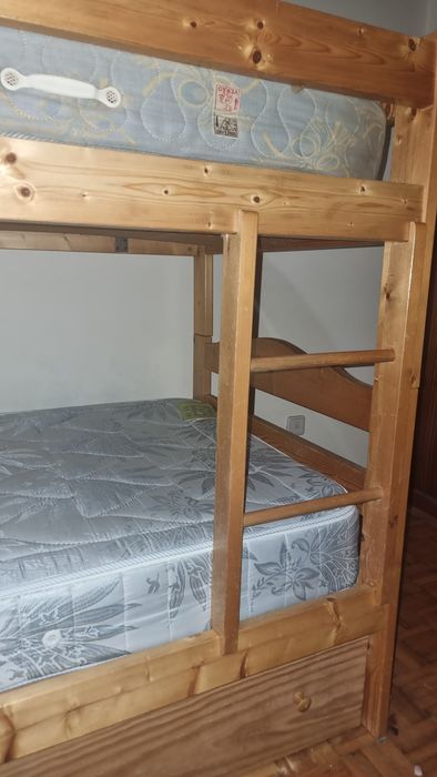 Beliche madeira pinho