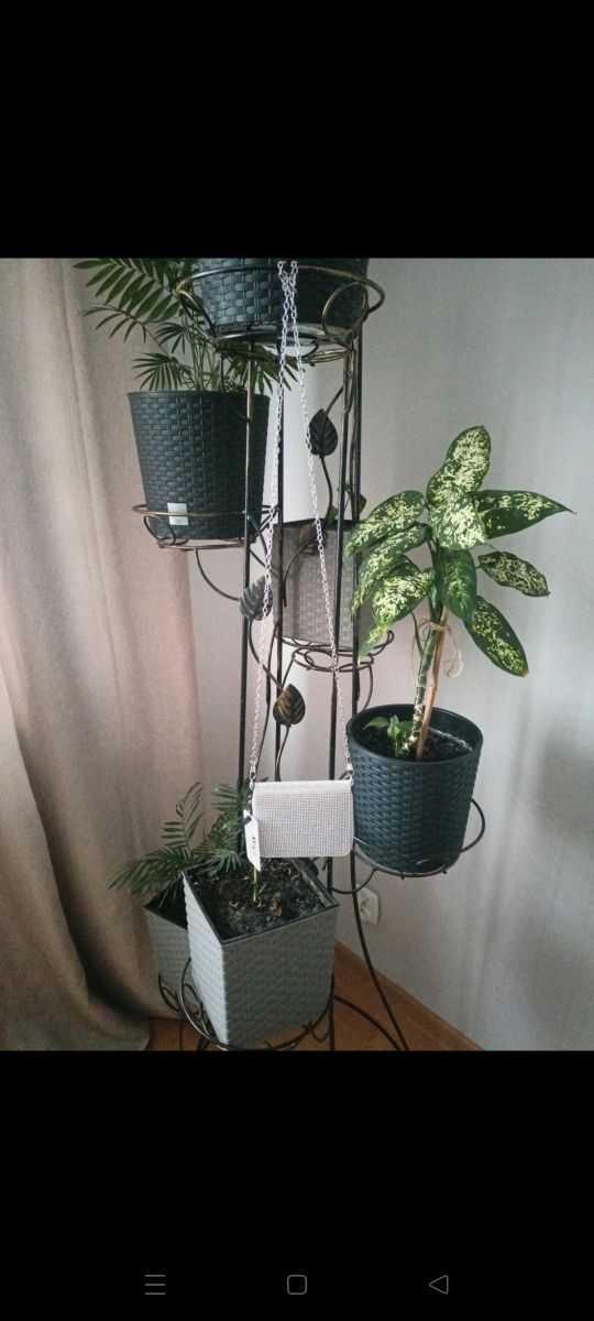 Elegancka torebka portfelik