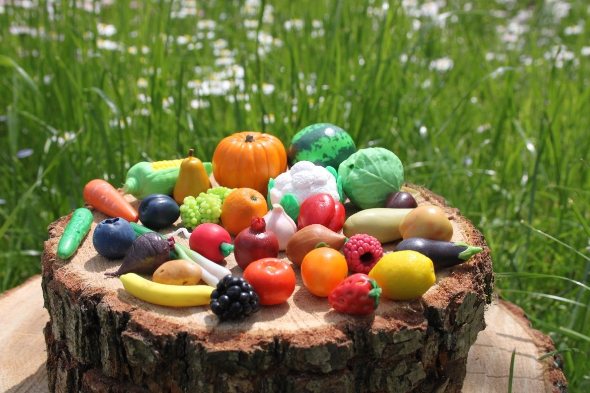 Овочі фрукти овощи полимерная глина игрушки розвивашки логопед