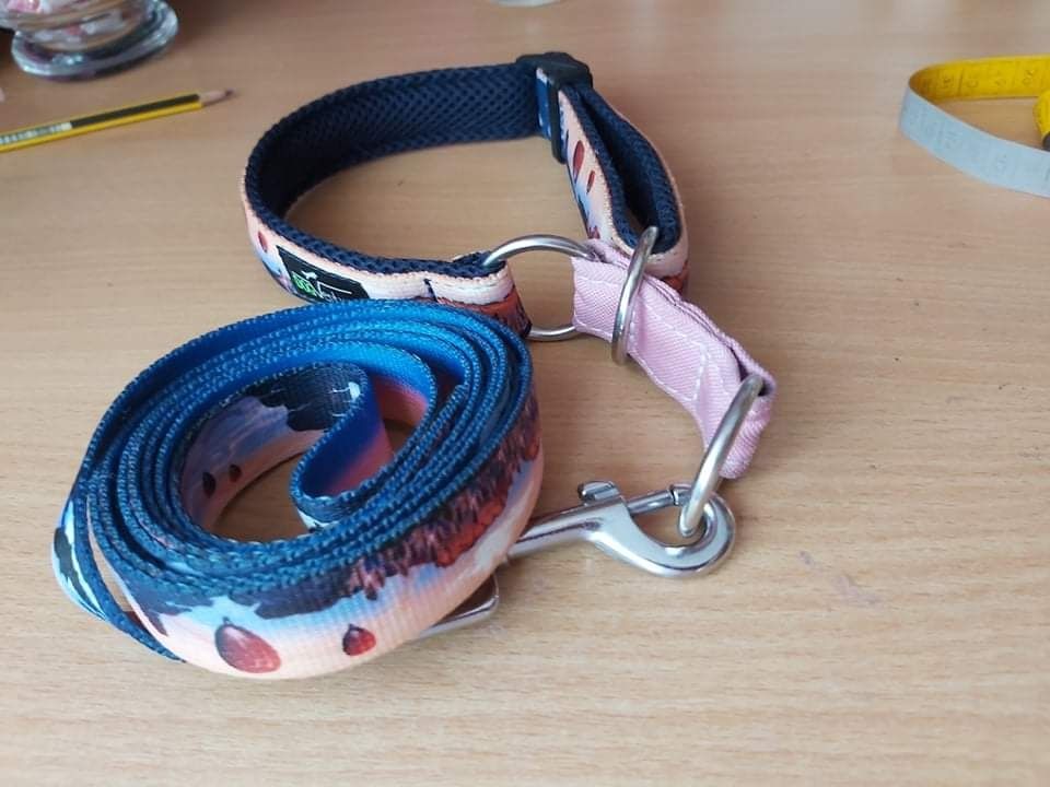 Komplet dog venture