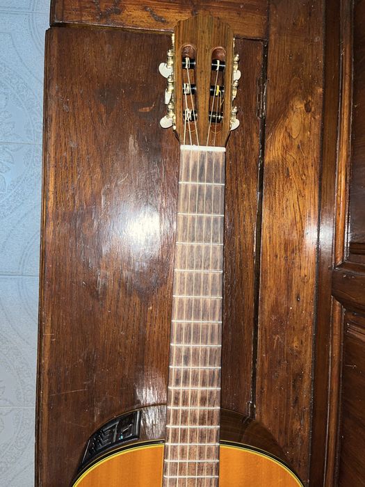 Viola de Fado Takamine EC 128