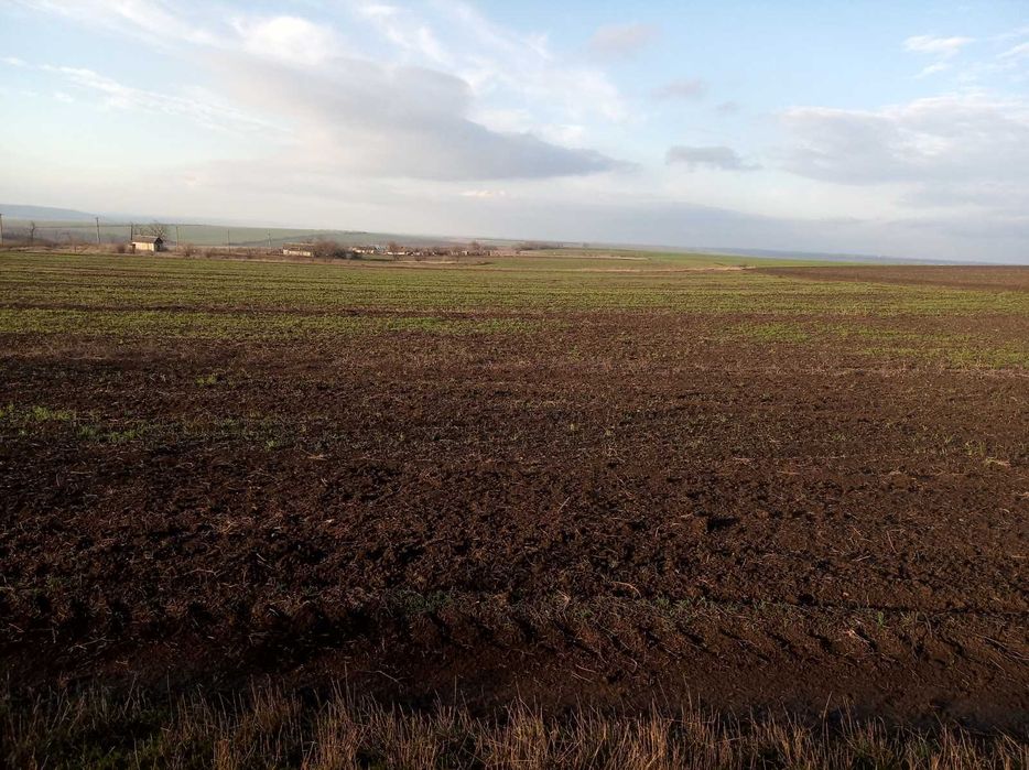 Участок в селе площадью 1,75 га