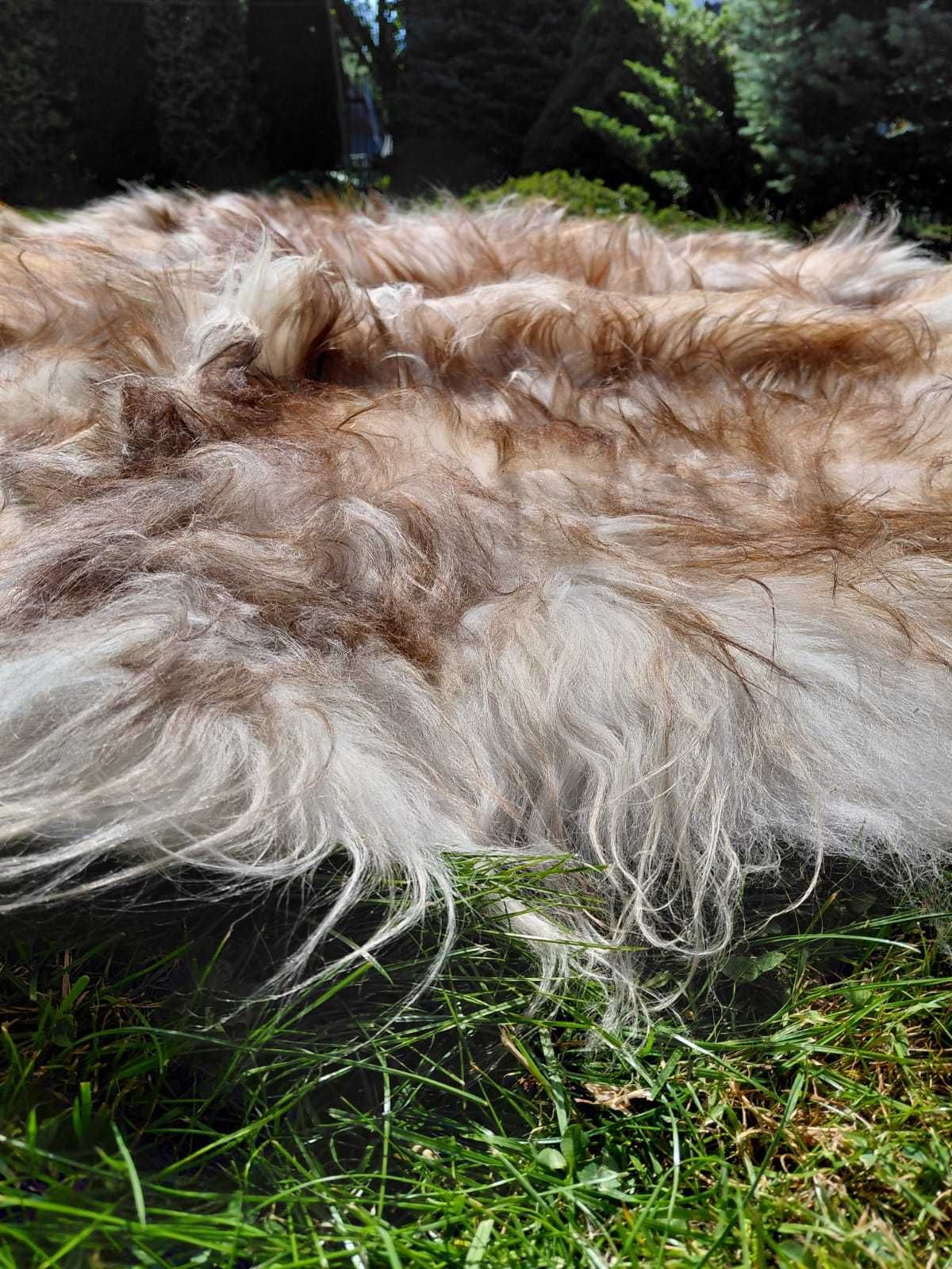 Dywan Ze Skór Owczych Naturalnych 2x2 Dywan Skóry Owcze Długi Włos