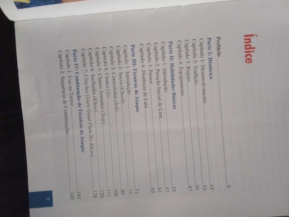 Musay Thai Básico - Christoph Delp