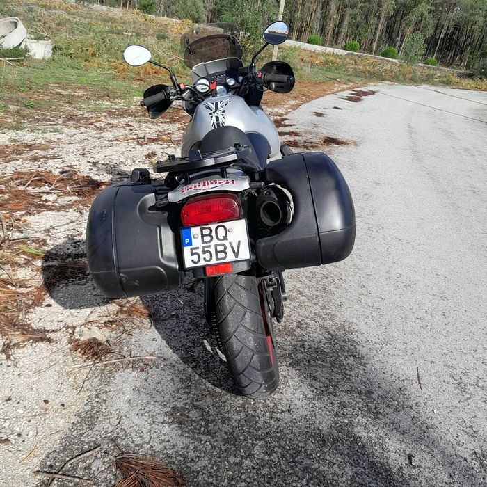 Triumph tiger 955i