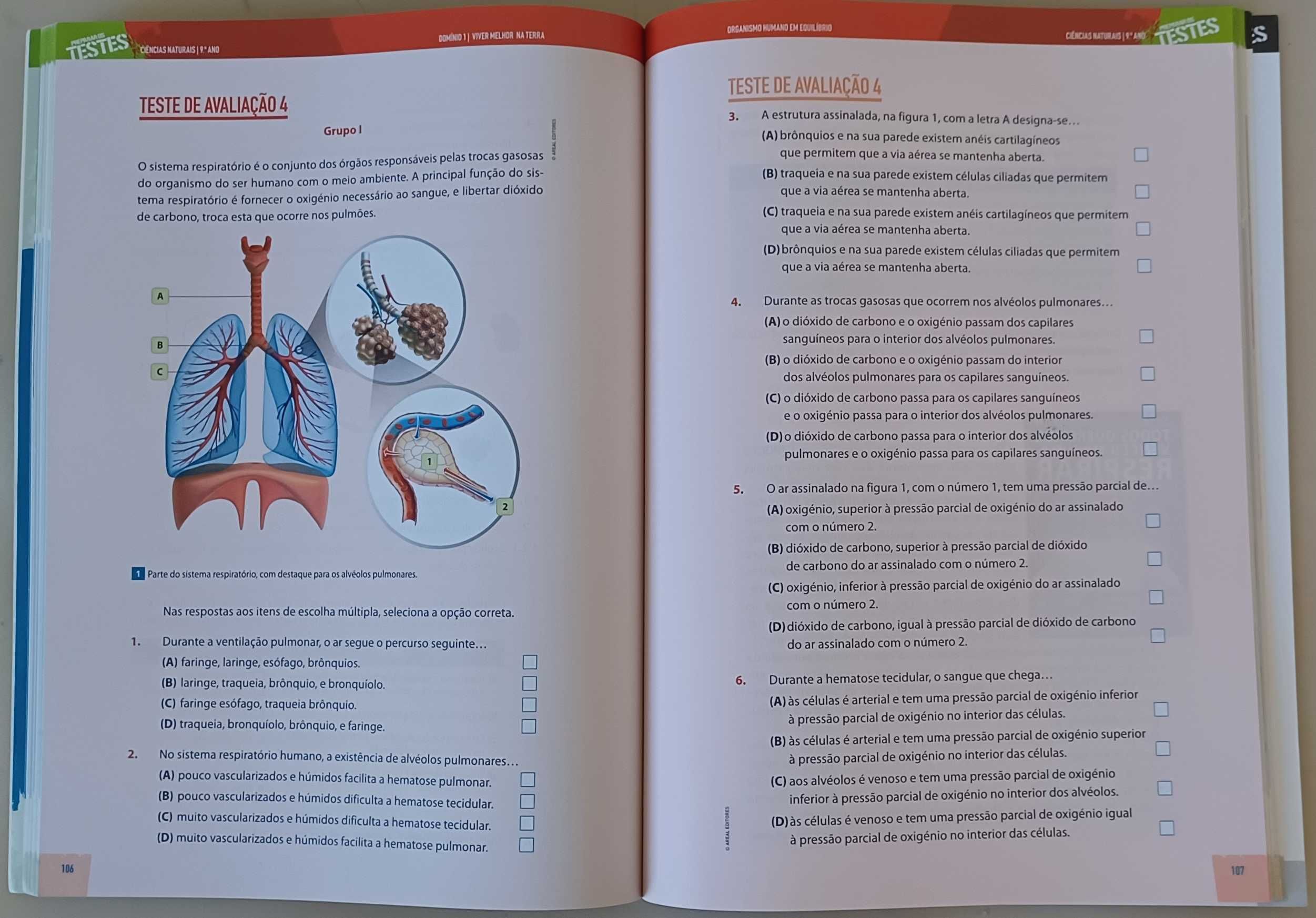 Ciências Naturais - Preparar os Testes - 9º Ano