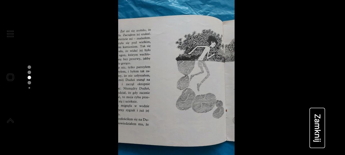 Książka dla dzieci O Małej Spince i Dużym Pstrągu 1975 rok