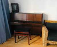 Pianino akustyczne marki Legnica od stroiciela i gratis siedzisko