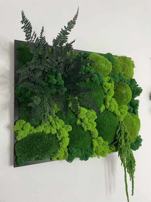 Obraz z mchu, prezent, dekoracja