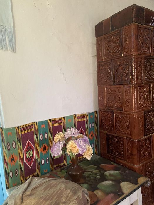 Будинок земельною ділянкою 50 сотих