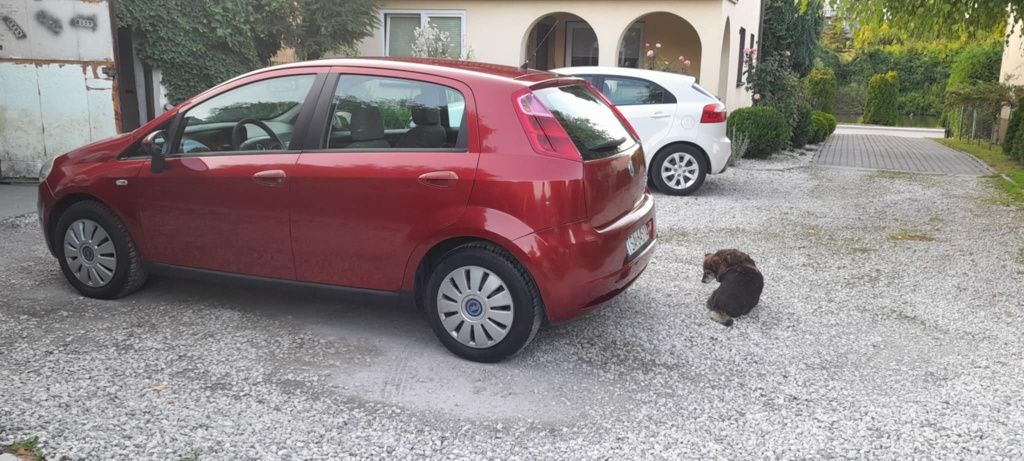 **Fiat **Grande ** Punto**9 lat **W Jednych Rekach** 1.4 B+G