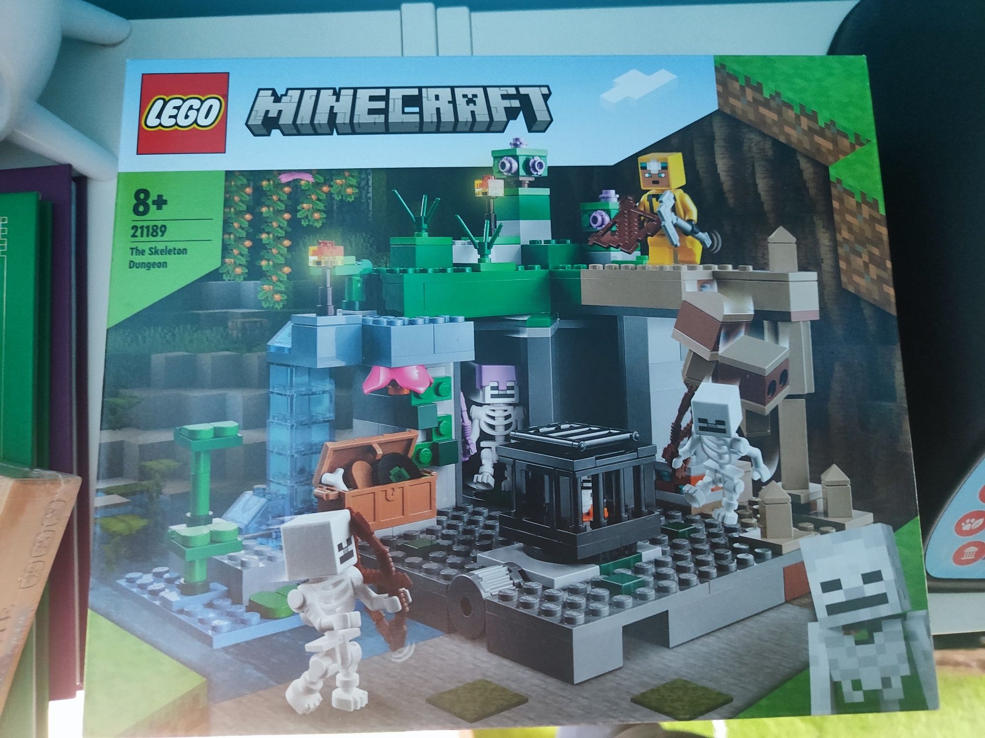 LEGO Minecraft 21189