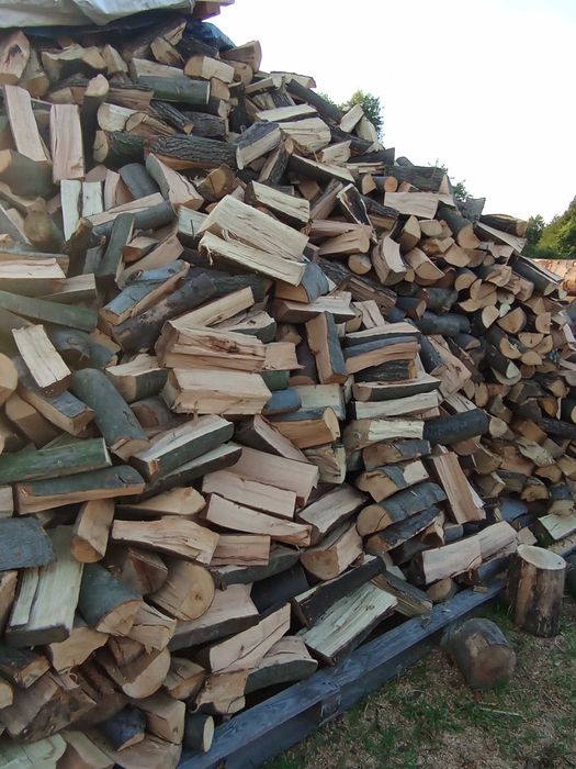 Drewno opałowe liściaste Buk