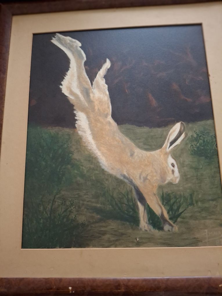 Quadro a oleo lebre assinado  f maia? Pintura