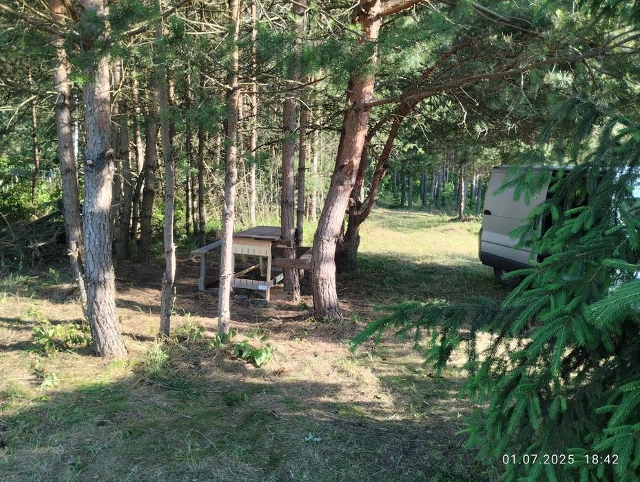 Продається земельна ділянка 12 соток поряд ліс