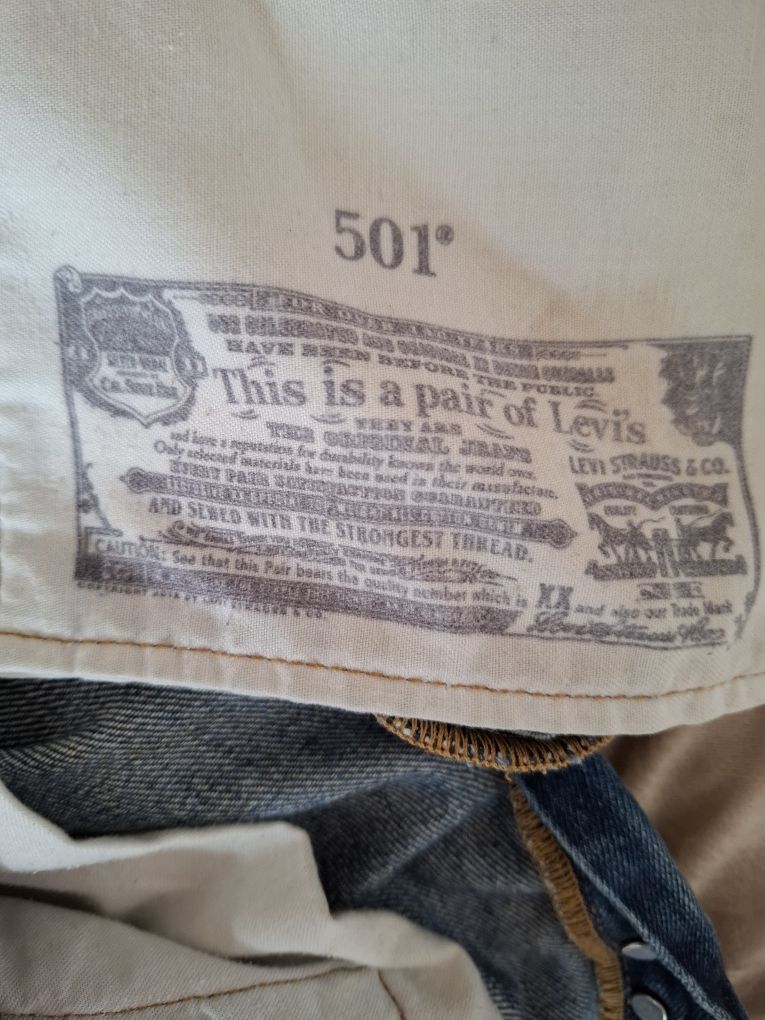 Calsas levis  501. N. ⁸31