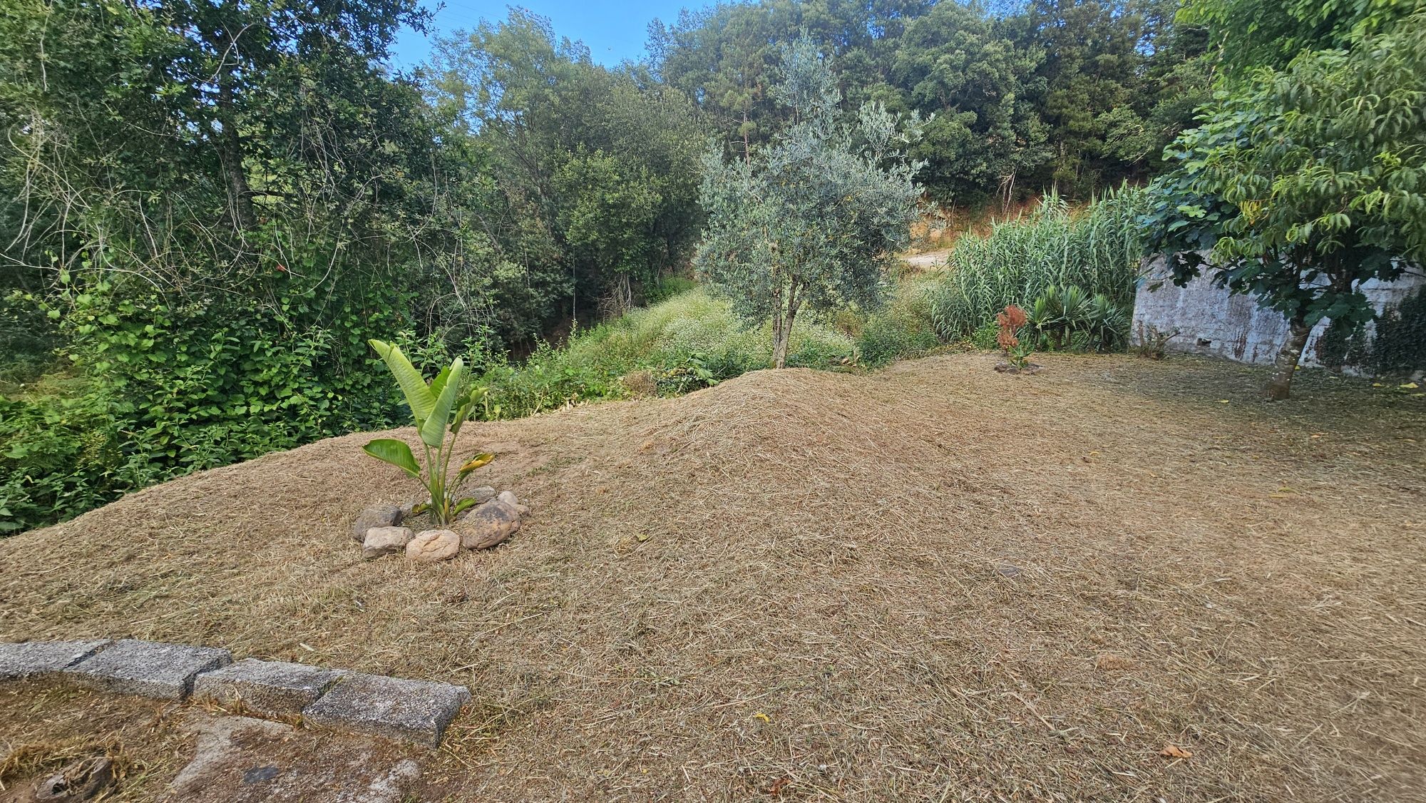 Limpezas de terrenos lavagem de muros e telhados