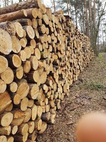 Drewno opałowe,  rozpałkowe i kominkowe  Sosna. Brzoza. Jesion, Dąb