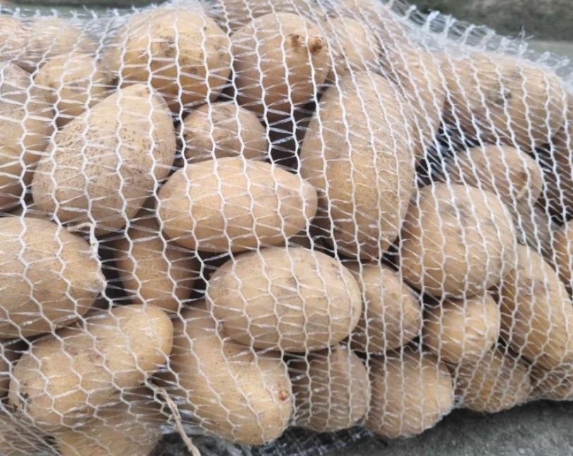 Ziemniaki tegoroczne