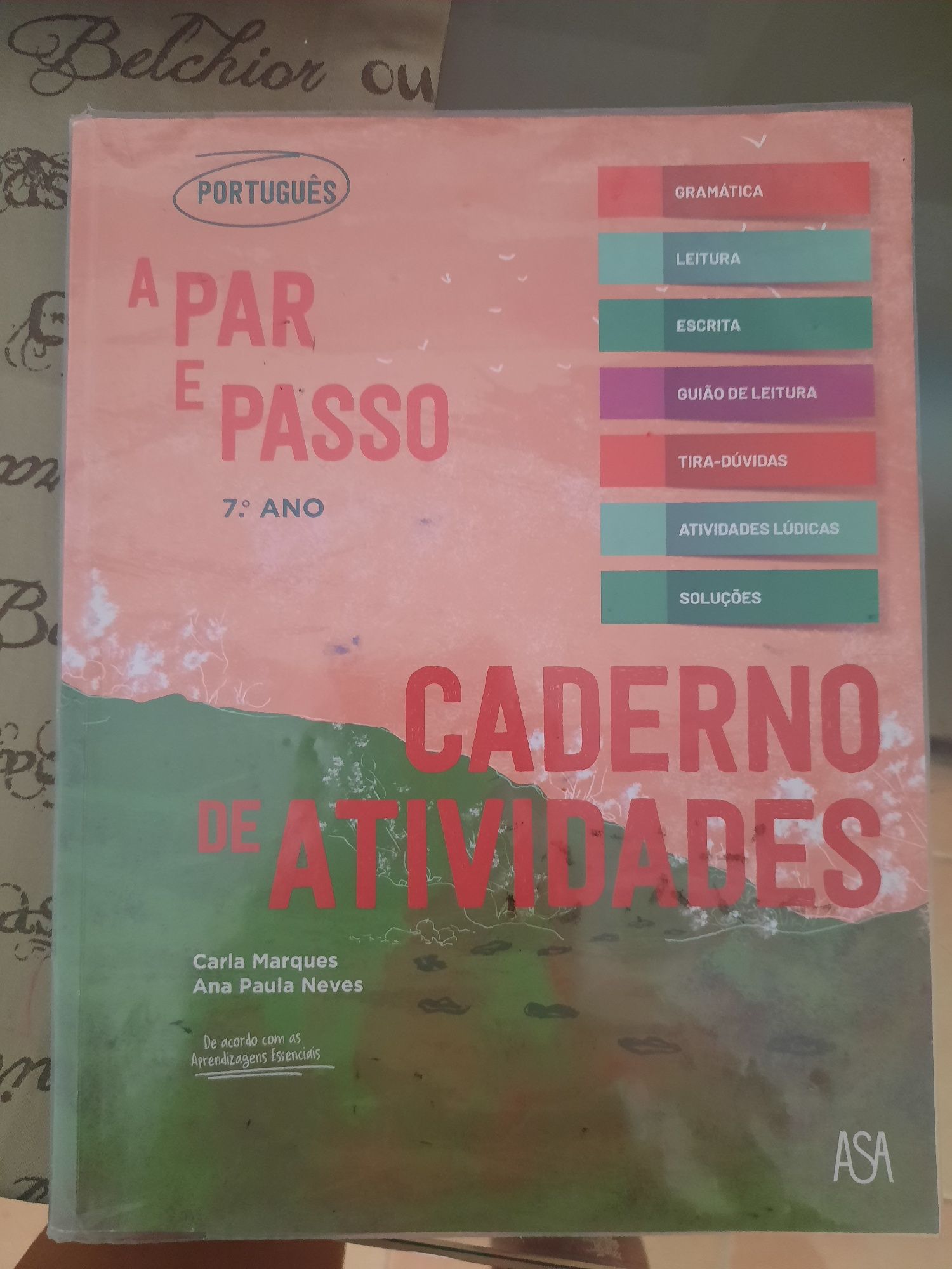 Livros e cardenos de atividades 6.º 7.º anos