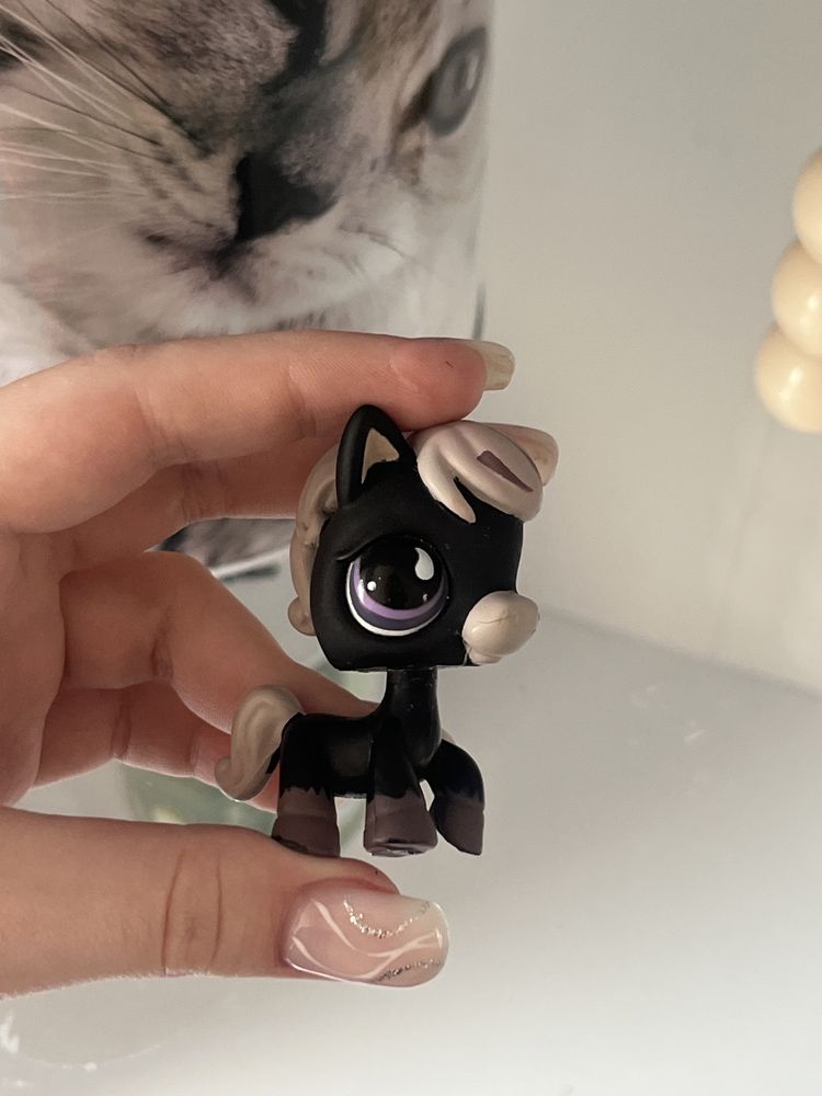 Littlest Pet Shop LPS Koń #523