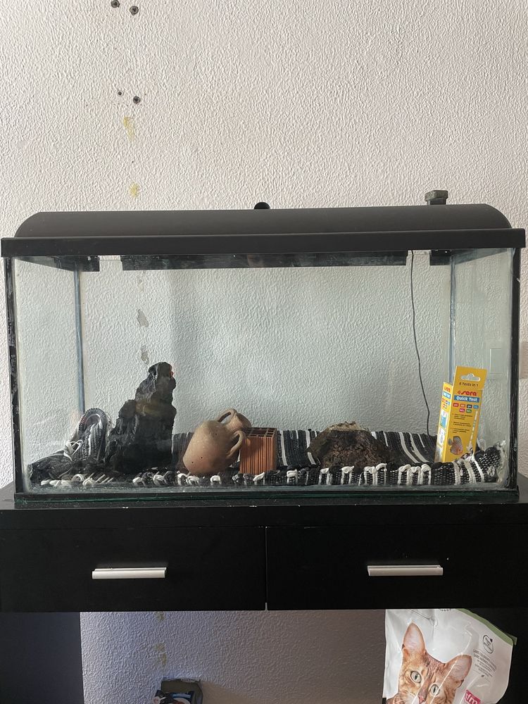Aquario 100L com led, itens e móvel