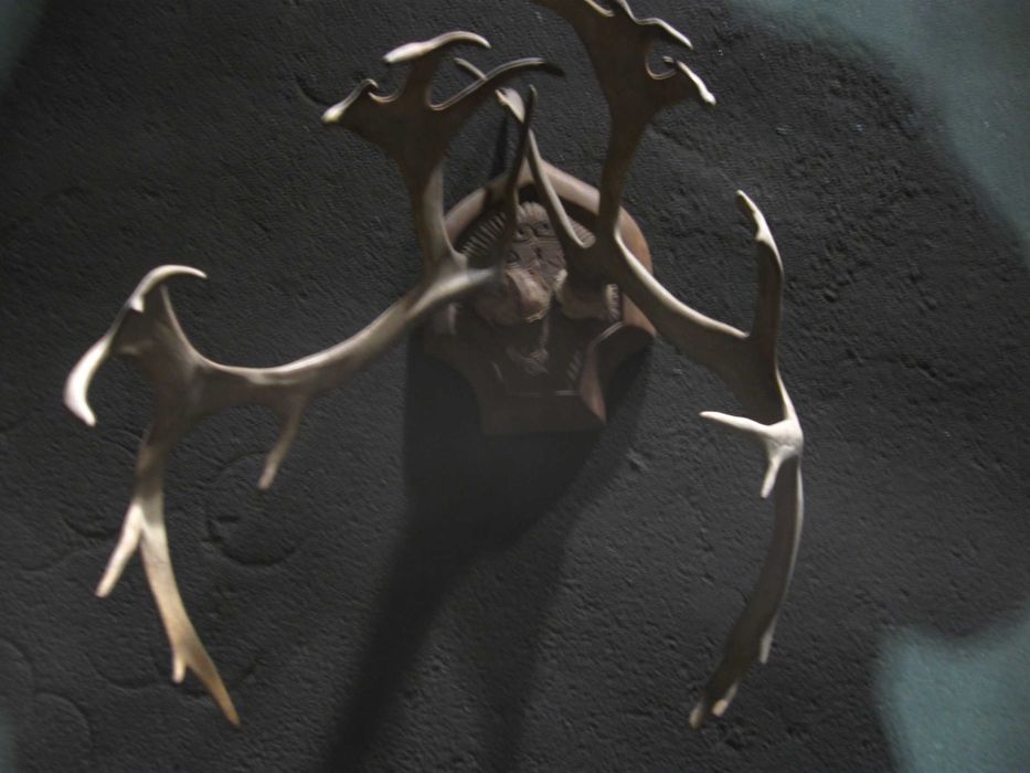 Роги оленя для оздоблення приміщень