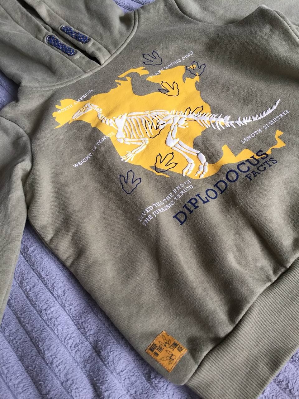 Bluza chłopięca Lupilu r.110 z kapturem kangurka dinozaury