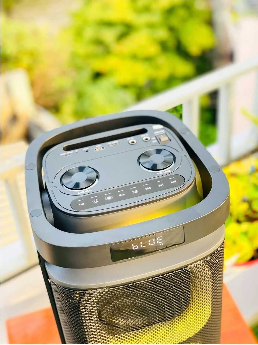 Акустическая система Temeisheng 6620D с 2 радиомикрофонами, колонка.