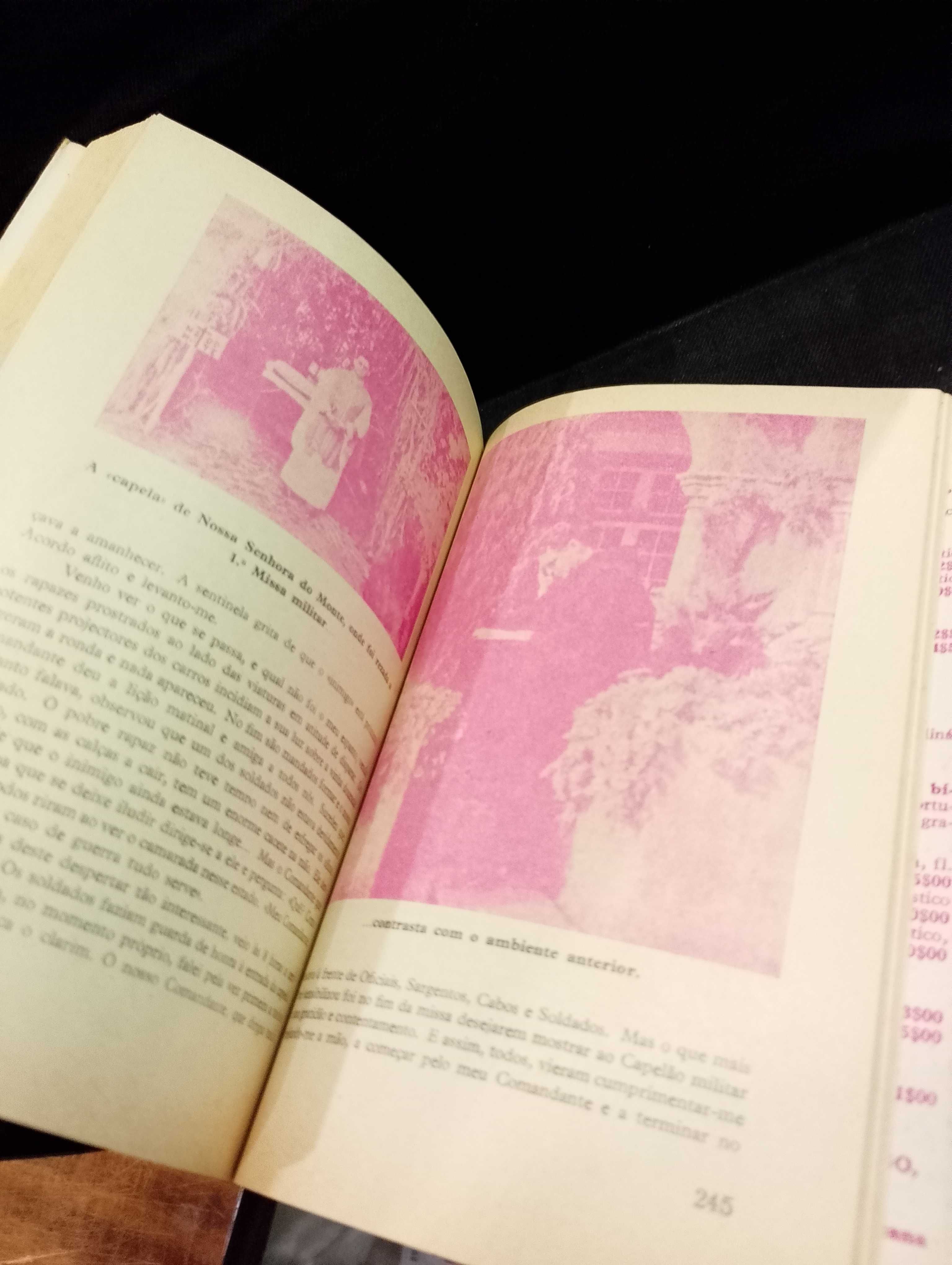 Almanaque de Santo António - 1966