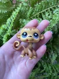 LPS Littlest pet shop małpka #1843