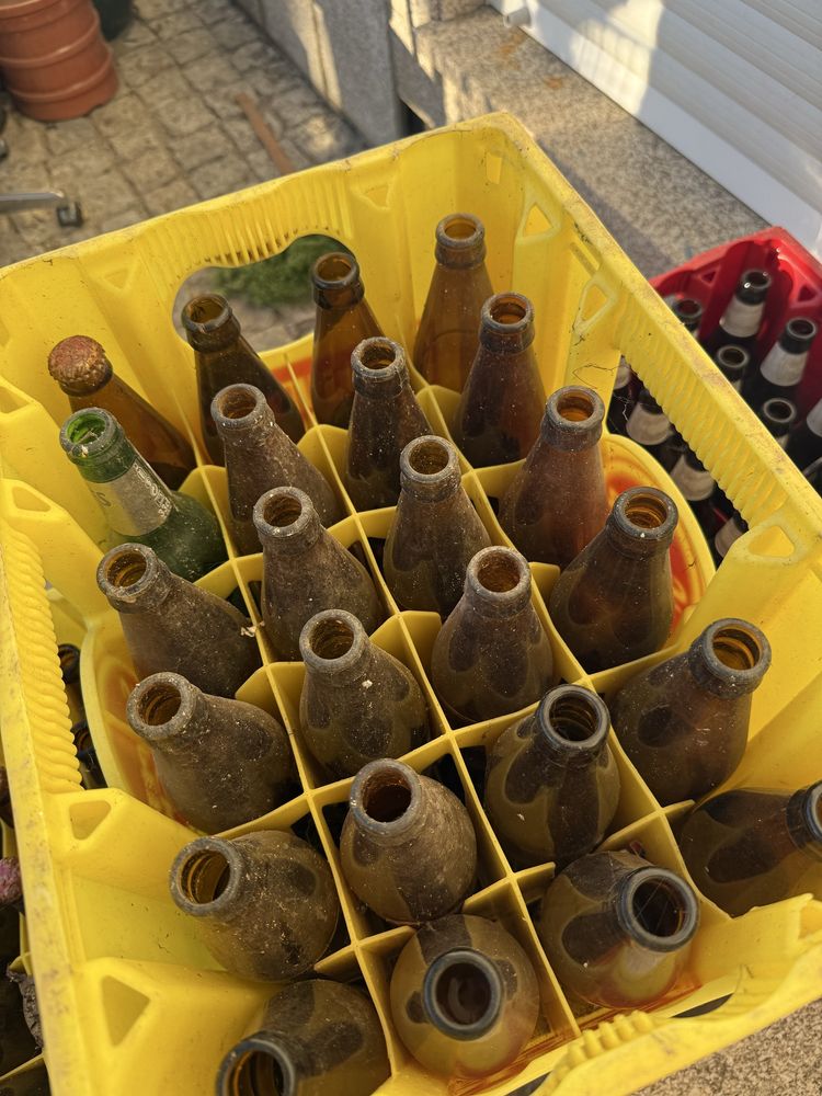 7 Grades de cerveja com garrafa incluida Super bock e Cristal