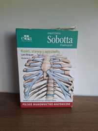 Anatomia Sobotta Flashcards