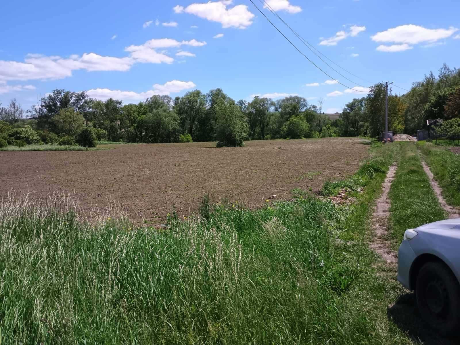 0.331 га землі у с. Великий Кучурів (р-н Дубки за парниками)