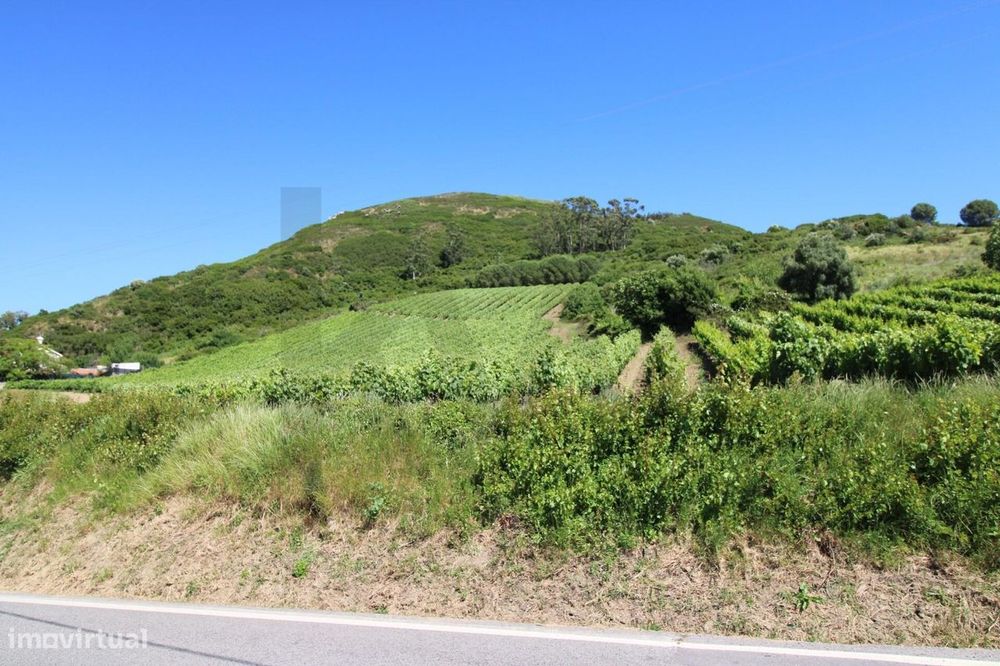 Moradia Isolada com projeto Aprovado | Pé do Monte - São Quintino